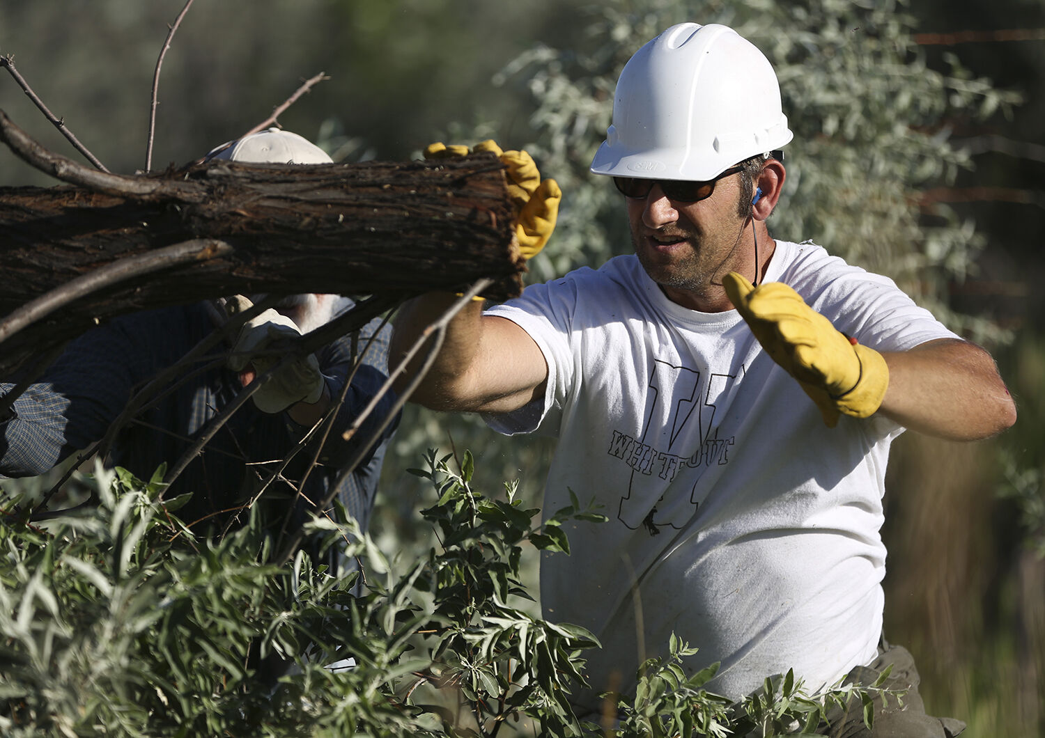 Zach Byram turns a shrub so that it will be easier to hook up to to drag